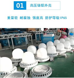 工廠照明壁裝桿裝戶外三防平臺燈